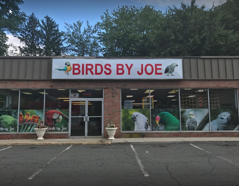 Birds By Joe 1 and 2